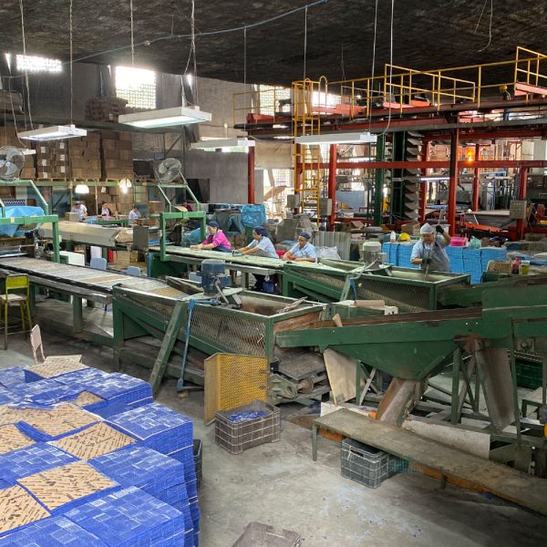 fabrica-mosaico-kolorines-mosaicos-venecianos-de-mexico_Mesa de trabajo 1 copia 8